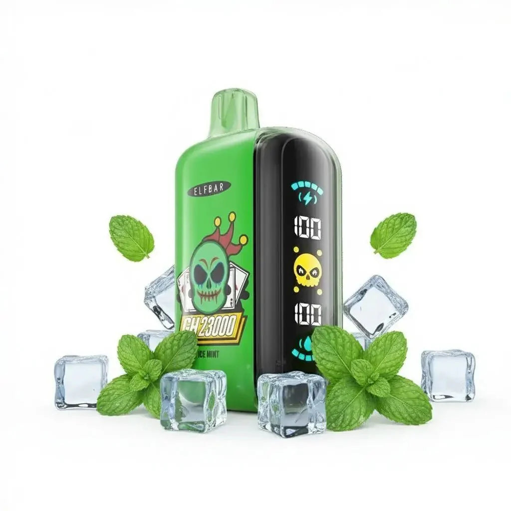 ELF BAR GH 23.000 ICE MINT