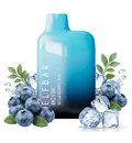 ELF BAR BC 15.000 BLUEBERRY ICE